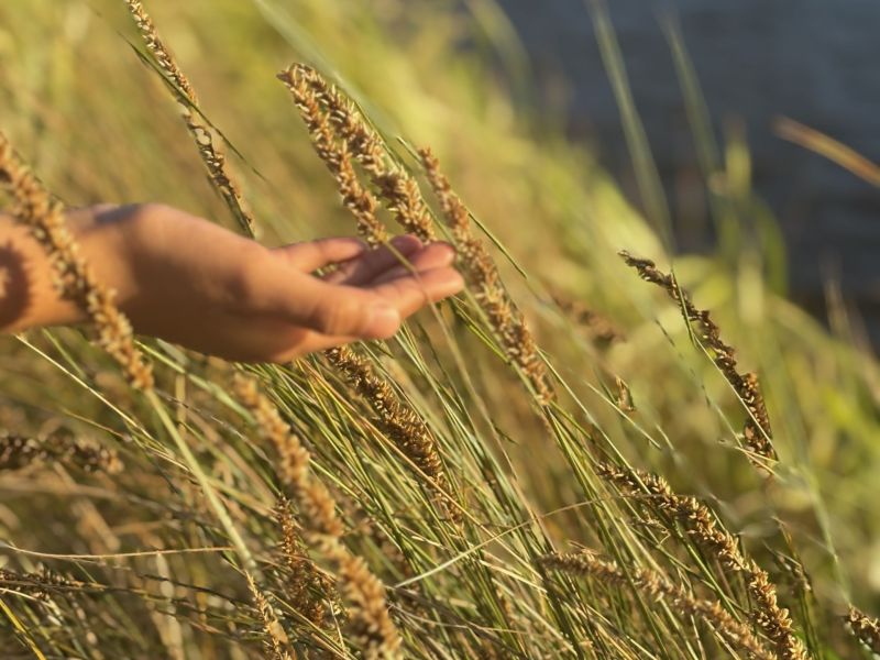 ​'Beneath the fingertips' by Issa